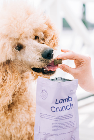 Buddy Crunchy Snack - Lam & Cranberry