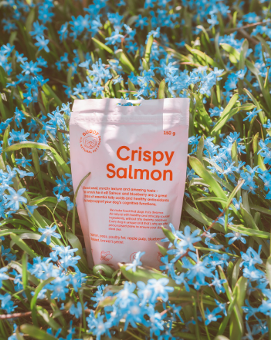 Buddy Crunchy Snack - Zalm & Blauwe Bes