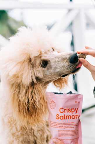 Buddy Crunchy Snack - Zalm & Blauwe Bes