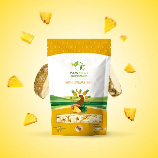 Pawfect Natures Munch - Ananas