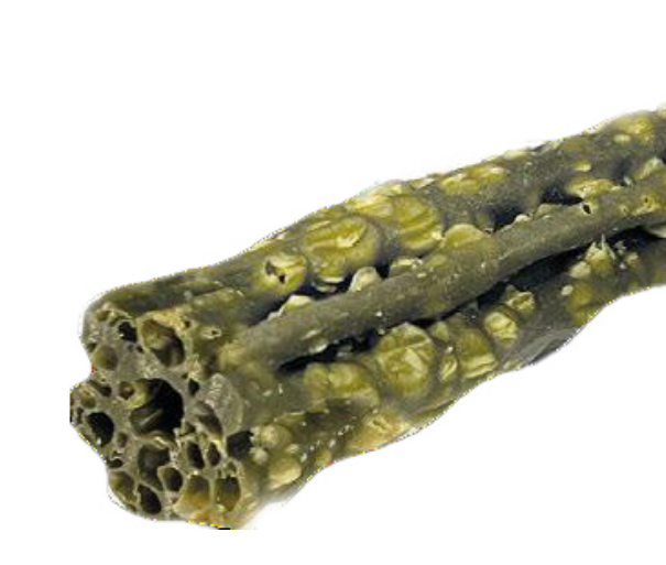 Knash Woofa Loofa Dental