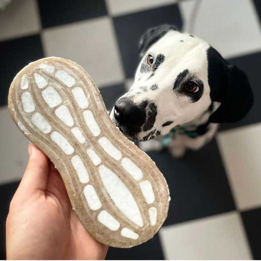 Sodapup Nylon Peanut Chew Toy