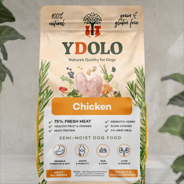 Ydolo - Chicken