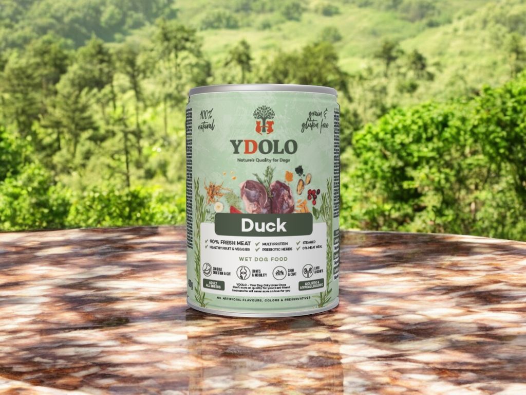 Ydolo Natvoer - Eend