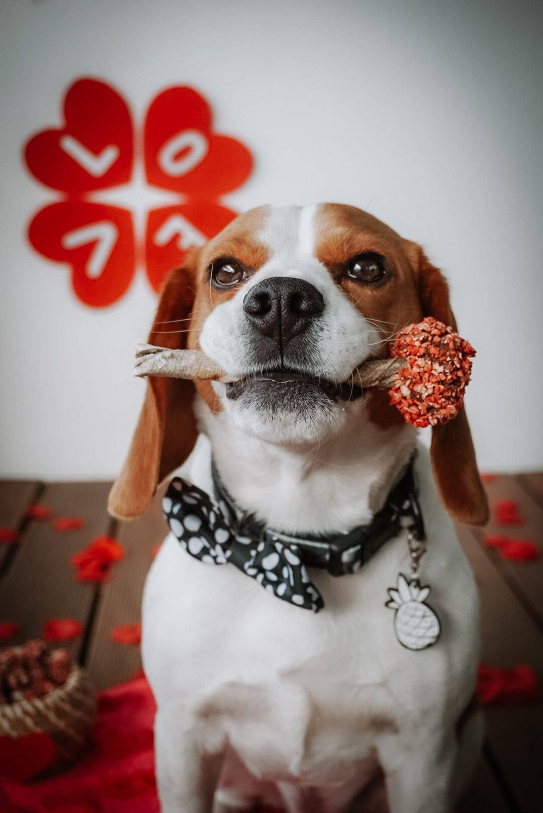 Lollipop