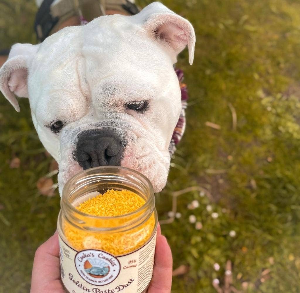 Golden Paste - Meal Topper