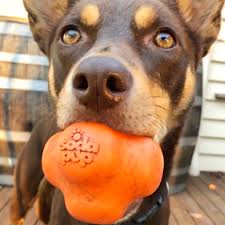 Sodapup Crazy Bounce Ball - Chew & Retrieving Toy