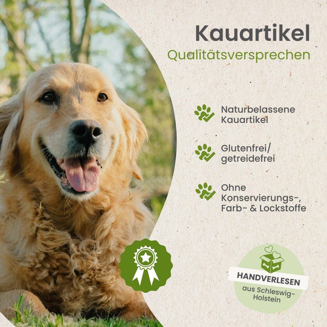 Kamelenkophuid
