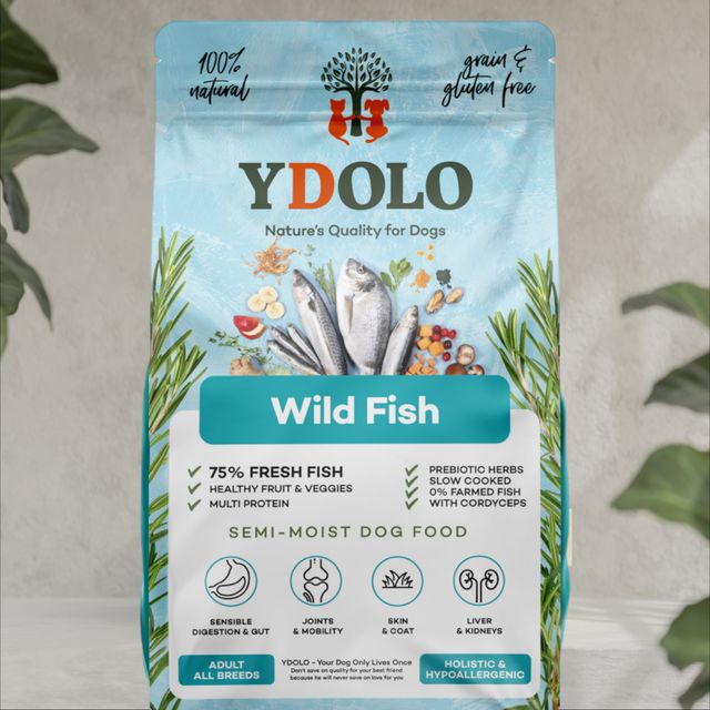 Ydolo - Wild Fish