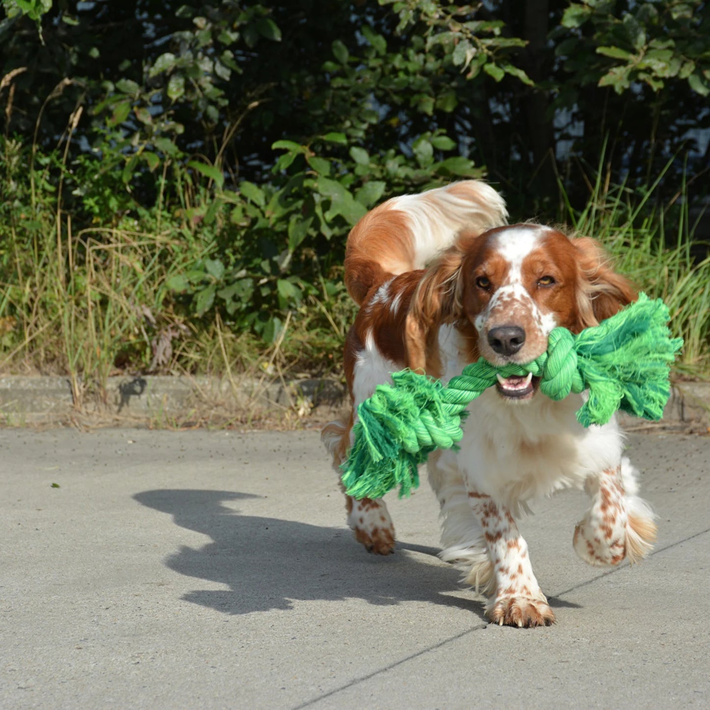 Happy Pet Flossin Fun 2 knoop