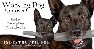 Indestructibone XL Plus Chew Bone