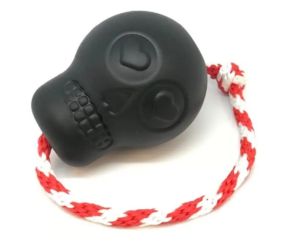 Skull Chew Toy With Rope