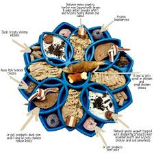 Sodapup Mandala Enrichment Tray