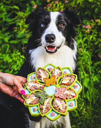 Sodapup Mandala Enrichment Tray