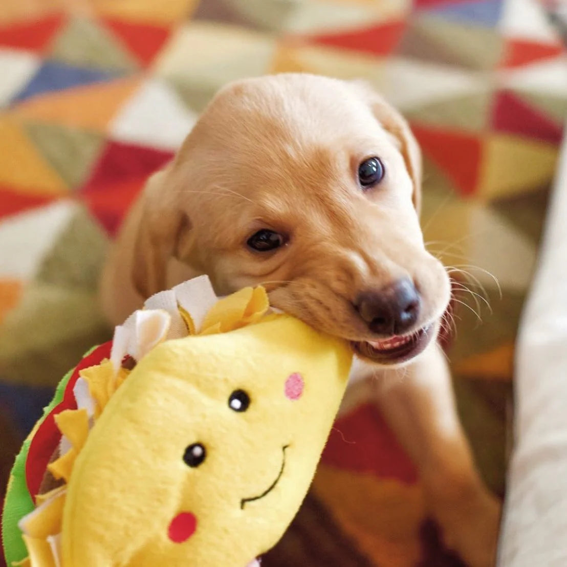 Nomnomz Taco